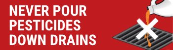 Never Pour Pesticides Down Drains